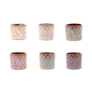 Può includere: Sei vasi in ceramica di diversi colori e motivi. I vasi hanno una superficie testurizzata e sono perfetti per aggiungere un tocco di fascino rustico alla tua decorazione domestica.