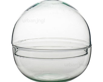 Flaschengarten • Dome • ↑ 20cm - ↑ 28 cm  • Terrarium aus Glas • Glasterrarium • Tarrarien •  Terraria •  Schüssel