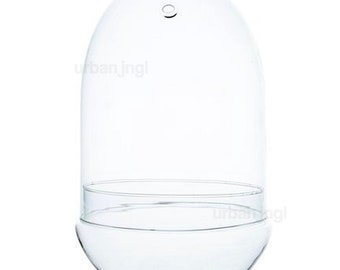 Flaschengarten Flasche  • ↑ 30cm / Ø 18,5cm • Terrarium aus Glas • Glasterrarium