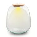 Terrarium bottle 'Emma' - Incl. LED cork - Closed terrarium Ø 23 cm ↑ 25 cm product logo