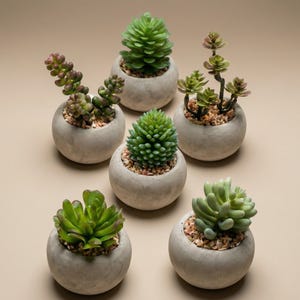 Mini succulente artificiali in vaso di cemento - Set mix succulente 6 - Ø 6,5