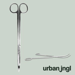 Terrarium scissors -  Metal - 25 cm - Extra long - Curved blades - stainless steel - urbanjngl.com