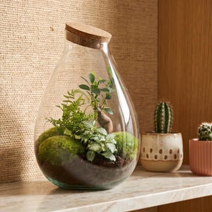 Drop XL Verde - Terrario con tappo di sughero - Kit fai da te per giardino in bottiglia – Ø 24 cm ↑ 37 cm