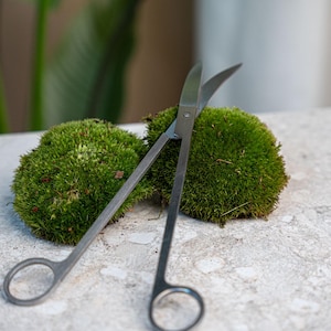 Terrarium Schere - Metall - 25 cm - Extra Lang - Geschwungene Klingen - Edelstahl - urbanjngl.com