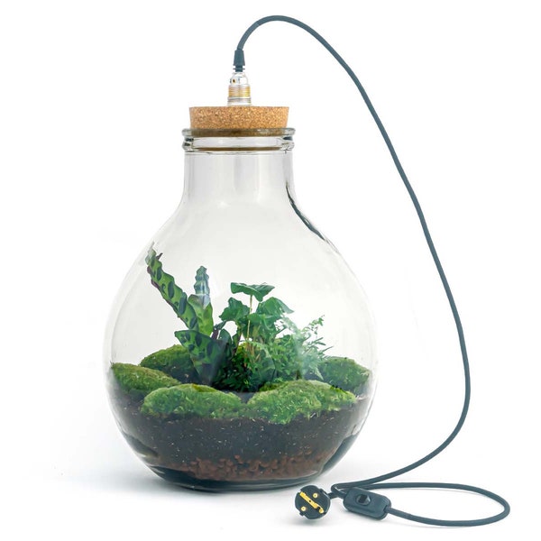 Terrarium DIY Kit • Big Paul Jungle • ↑ 45 cm - 52 cm • Led light in cork lid • Ecosystem with plants in closed terrarium