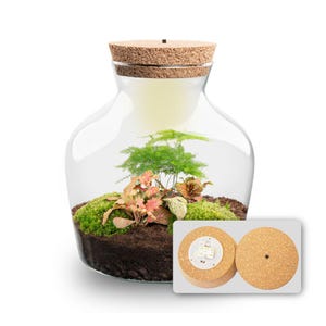 Könnte beinhalten: Ein klares Glasterrarium mit breitem Boden und engem Hals, verschlossen mit einem Korkdeckel. Im Inneren wachsen grünes Moos, kleine Farne und Pflanzen mit rosa Adern in dunkler Erde. Ein Inset zeigt die Unterseite des Korkdeckels mit integriertem LED-Licht.