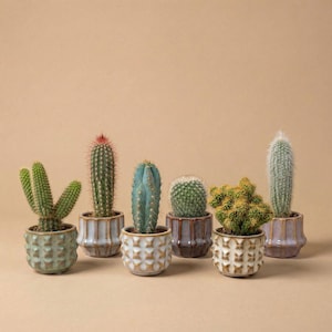 Op de afbeelding: Een assortiment cactussen in decoratieve keramische potten. De cactussen variëren in vorm en kleur, waaronder groene, blauwe en gele variëteiten. De potten zijn in tinten groen, bruin en wit, met getextureerde en patroonontwerpen.