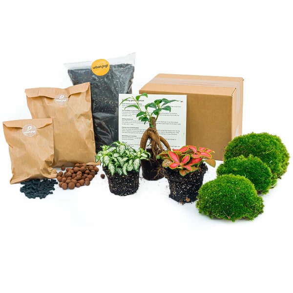 Flaschengarten Paket - Bonsai - Nachfüll & Starterpaket DIY - Pflanzenterrarium Nachfüllset - DIY - Pflanzen im Glas set