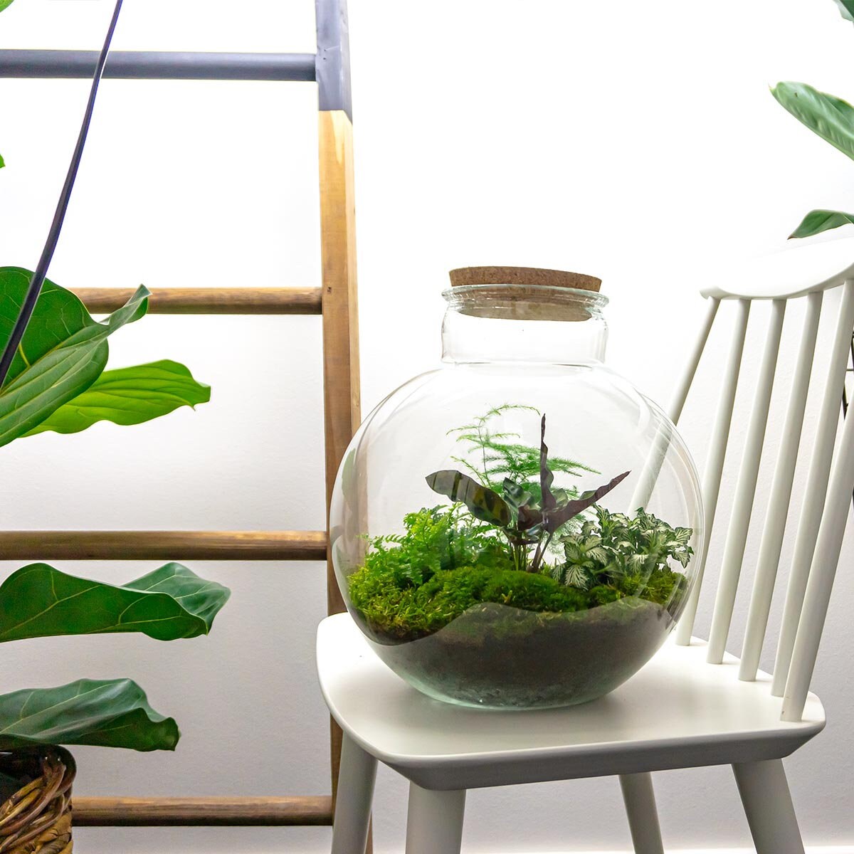 Boby la Plante, des ateliers ludiques pour créer son propre terrarium 