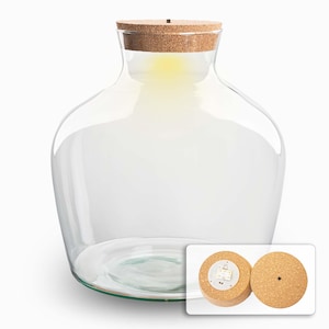 Bottiglia per terrario 'Fat Joe' - Incl. tappo LED - Terrario chiuso Ø 29 cm ↑ 30 cm