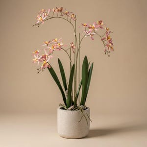 May include: A potted artificial orchid plant with pink and yellow speckled flowers and long green leaves. The plant is in a round, textured, light-colored pot filled with small stones.