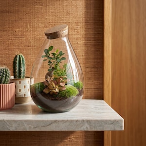 Può includere: Un terrario in vetro a forma di goccia con coperchio in sughero contenente piccole piante verdi, muschio e terriccio. Accanto si trovano un piccolo cactus verde in un vaso rosa a coste e un altro cactus verde in un vaso di ceramica beige maculato.