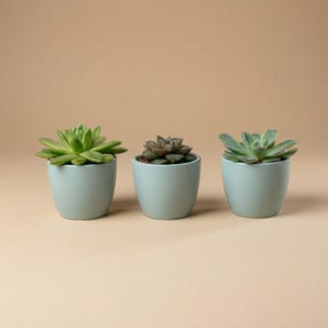 Può includere: Un set di tre tazze in ceramica con finitura opaca e macchiettata. Le tazze sono nei toni del crema, grigio chiaro e grigio scuro. Ogni tazza ha un design semplice e minimalista e un manico arrotondato.