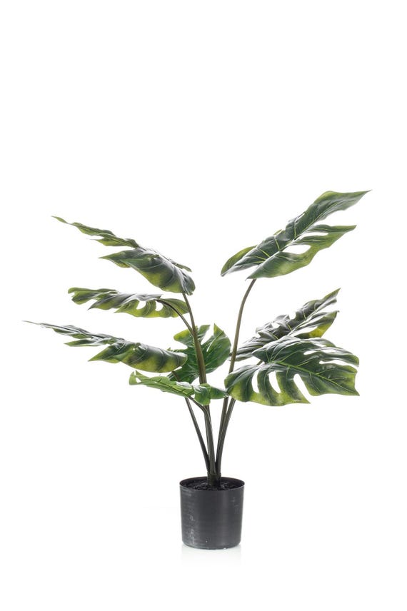 Monstera Deliciosa - Lochpflanze - 85 cm - Kunstpflanze - Etsy.de