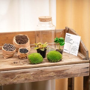 Terrarium DIY Kit • Little Milky + Led Licht • Ecosystem mit Pflanzen • ↑ 25 cm - urbanjngl.com