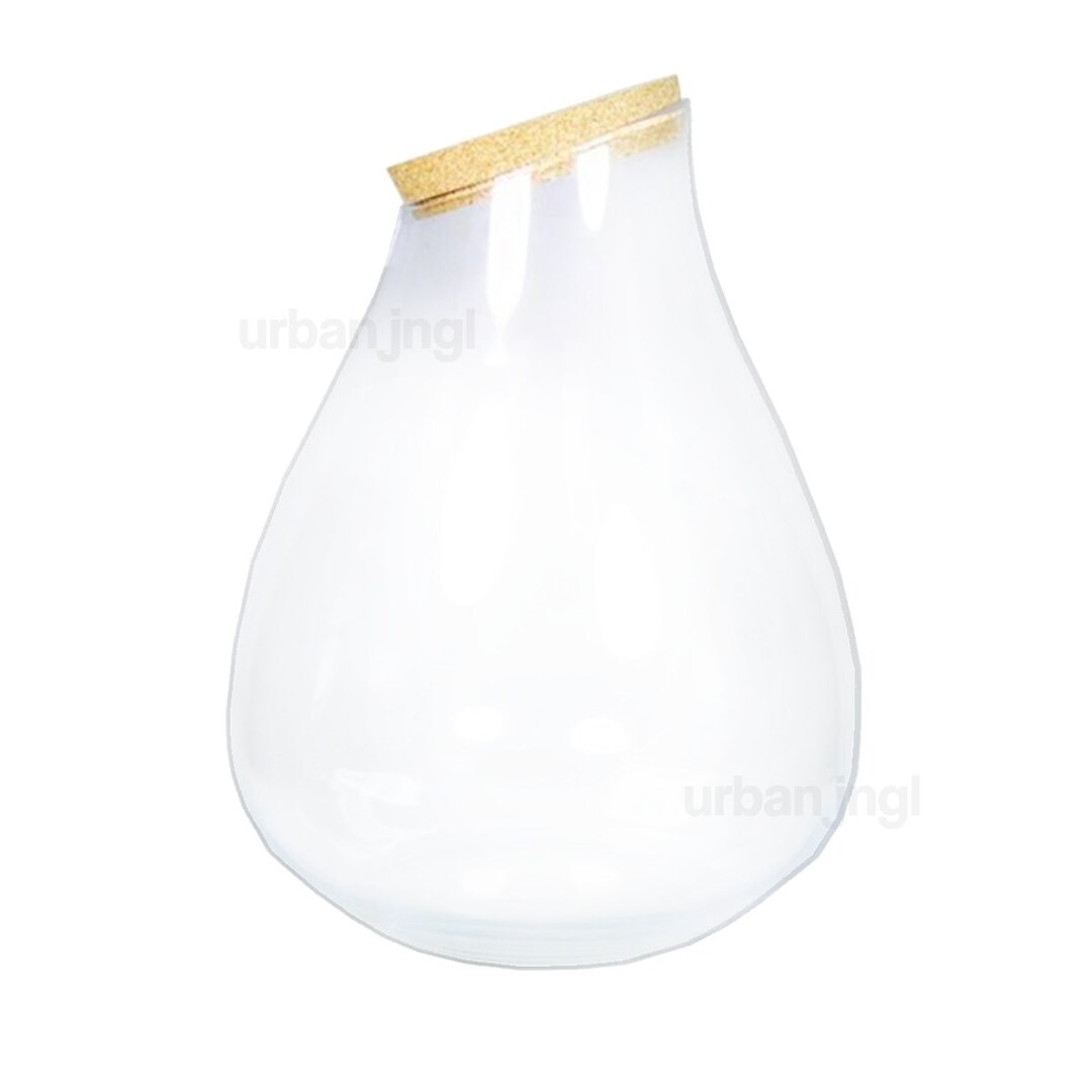 Vase En Verre Transparent Avec Bouchon Liège - 11,5 X 10 Cm - Pour Terrarium, Plantes Succulentes, Décoration - 8