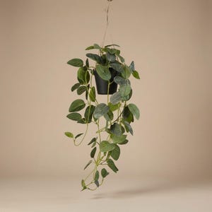 Op de afbeelding: Een hangende kunstplant in een zwarte pot. De plant heeft weelderige groene bladeren met witte nerven en lange, hangende stelen. De pot wordt opgehangen met natuurlijk touw, wat een decoratief accent creëert. De achtergrond is een neutraal beige.