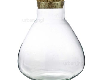 Flaschengarten • Flasche mit Korken • ↑ 26.5 cm / Ø 22.5 cm  • Terrarium aus Glas • Glasterrarium