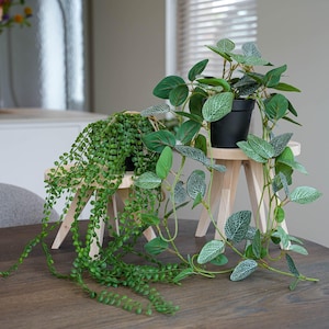 Op de afbeelding: Twee kunstplanten op kleine houten krukjes. Eén plant heeft hangende groene, ronde bladeren, de andere heeft groene bladeren met witte nerven. Beide staan in zwarte potten, wat een natuurlijk, decoratief geheel creëert.