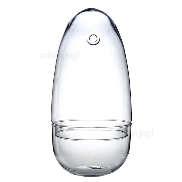 Closed Terrarium Container • Egg • ↑ 26 cm / Ø 13 cm • Glass • DIY Terrarium • Glass