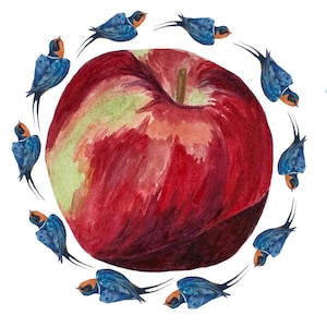 Apple and Birds Watercolor painting Print