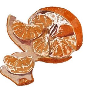 Mandarin Orange Painting Print