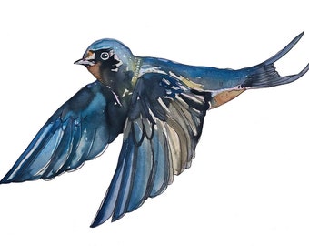 Barn Swallow Watercolor Painting Print