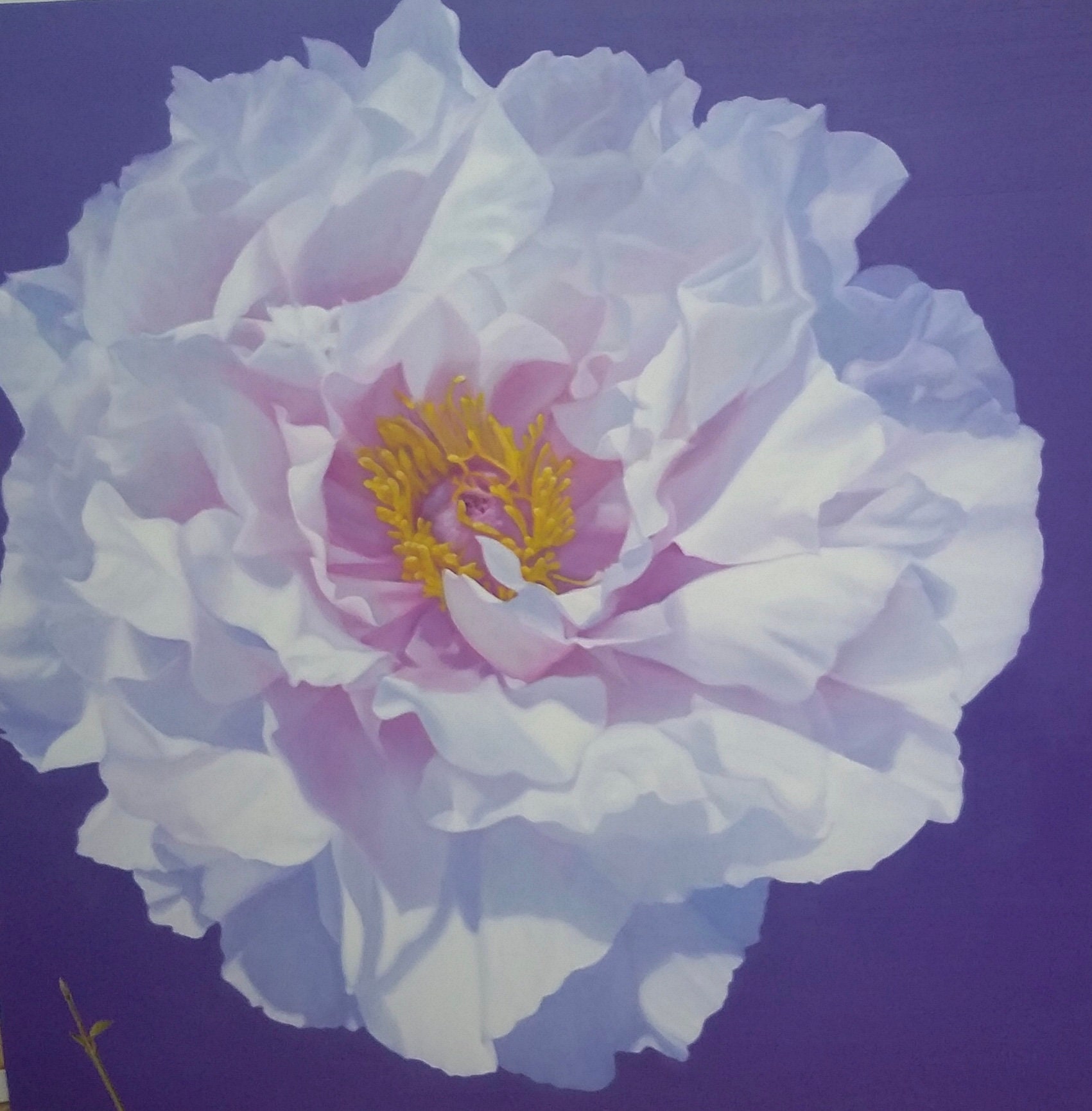 Peony wall Art DIGITAL DOWNLOAD Etsy