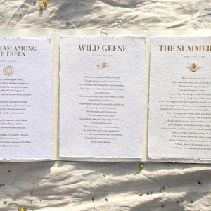 Set di poesie di Mary Oliver - 3 poesie su carta fatta a mano - Oche selvatiche, Il giorno d'estate, Quando sono tra gli alberi - Citazioni sulla natura - Set da parete