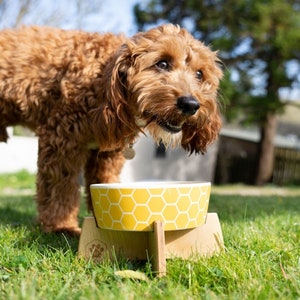 Eco Friendly Bamboo Dog Bowl & Stand, Large Bowl Stand, Dog Feeding Station, Personalised Bamboo Dog Bowl on Birch Ply Stand