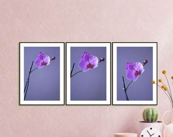 Set of 3 Orchid Prints, Orchid Photo Art Print, INSTANT DOWNLOAD