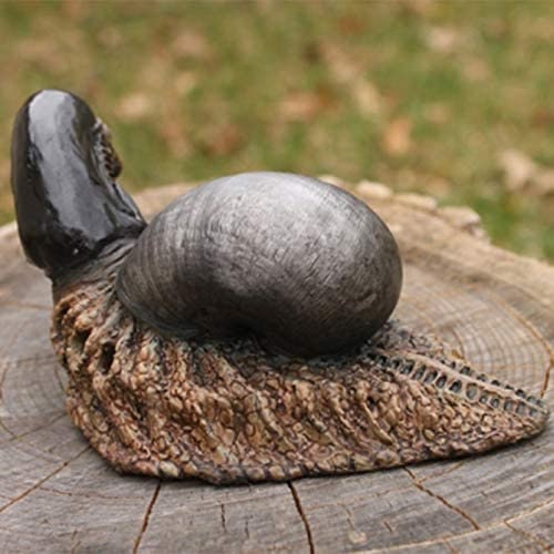 Alien Snail buying Sculpture