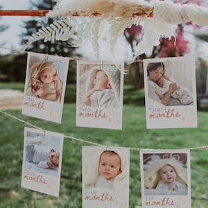 Faixa com foto para aniversário de princesa | Modelo de faixa com foto para o primeiro aniversário de menina | Faixa de 12 meses | Faixa de meses para impressão L15