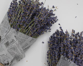 Op de afbeelding: Verschillende boeketten gedroogde lavendel, verpakt in krantenpapier, liggen op een witte ondergrond. De lavendel heeft een diepe paarse kleur en de krantenpapierverpakking is vastgebonden met touw.