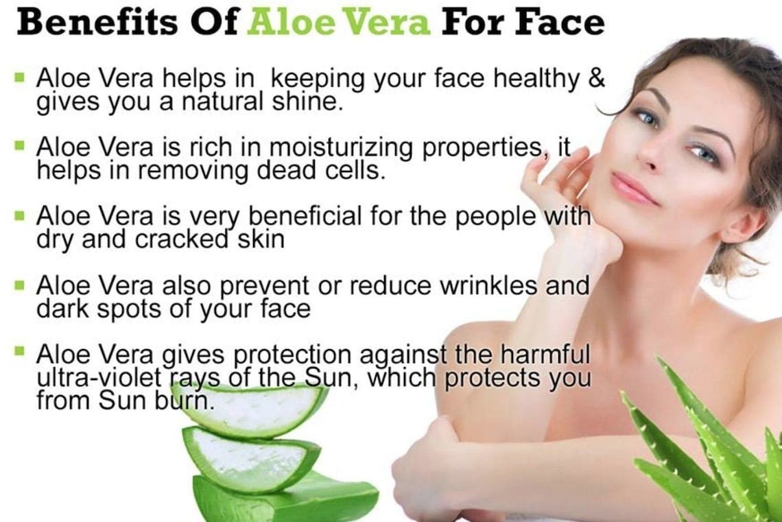 Aloe Vera Antioxidant Collagen Boosting Serum Etsy