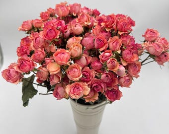 Blush Pink Dried Mini Roses (10 Stems) | California Grown Floral Decor