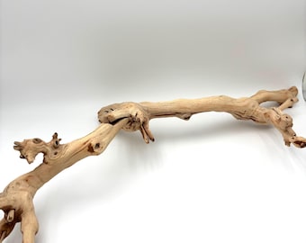 Rama de uva pulida con chorro de arena: decoración natural, orgánica y segura para reptiles.