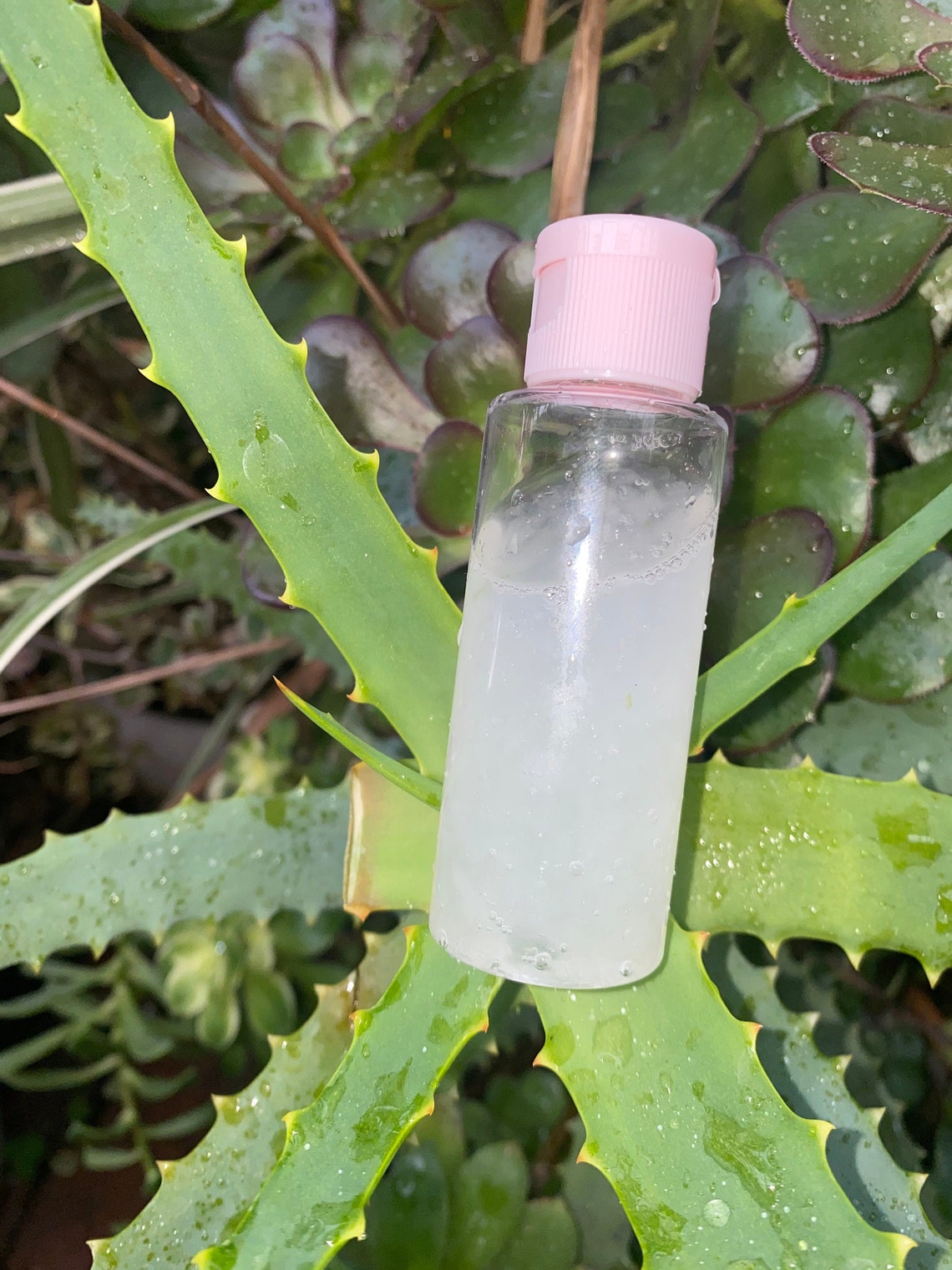 Aloe Vera Antioxidant Collagen Boosting Serum Etsy