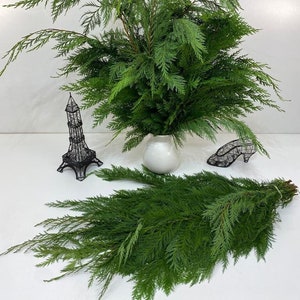May include: A white ceramic vase filled with lush green cedar branches, accompanied by a black wire Eiffel Tower figurine and a black wire high-heeled shoe sculpture, with an additional bundle of cedar branches lying flat in the foreground.