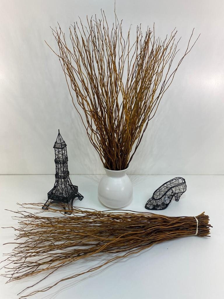 Curly Willow Branches Dried Curly Willow Branches 100% Natural Decorative  14 Stems White Sticks 23 Inch Small Real Gourds for Home Decor 