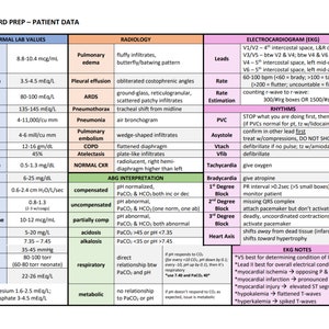 Dati del paziente - Preparazione all'esame TMC - Guida allo studio in PDF