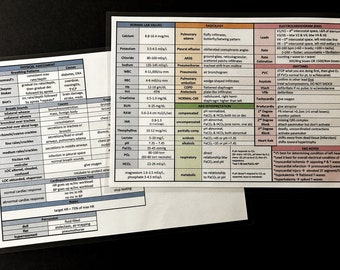 TMC Quick Reference Laminated Study Sheets | Respiratory Therapy RT Exam Prep