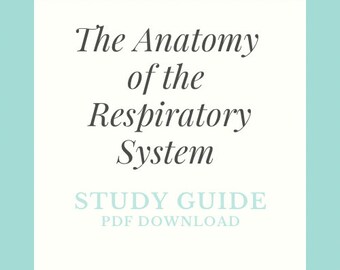 Guía de estudio - La anatomía del sistema respiratorio - Descargar PDF