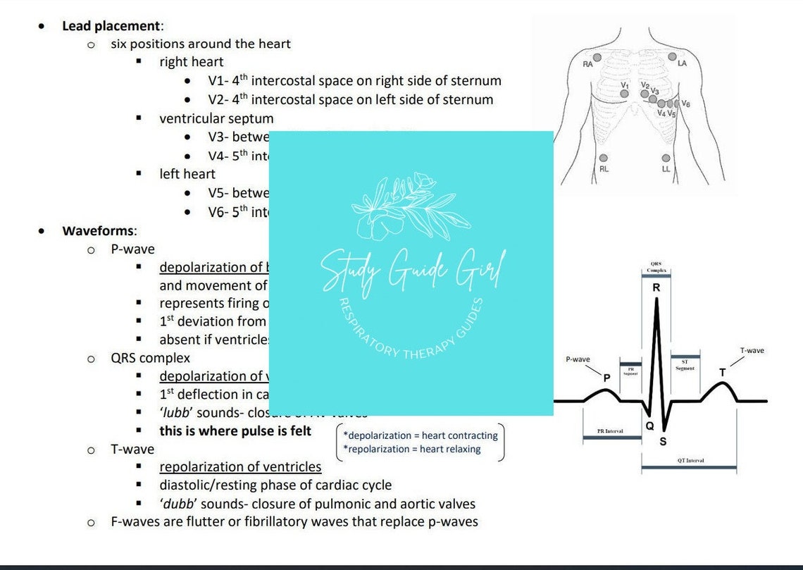 Study Guide Electrocardiogram EKG/ECG PDF Download - Etsy