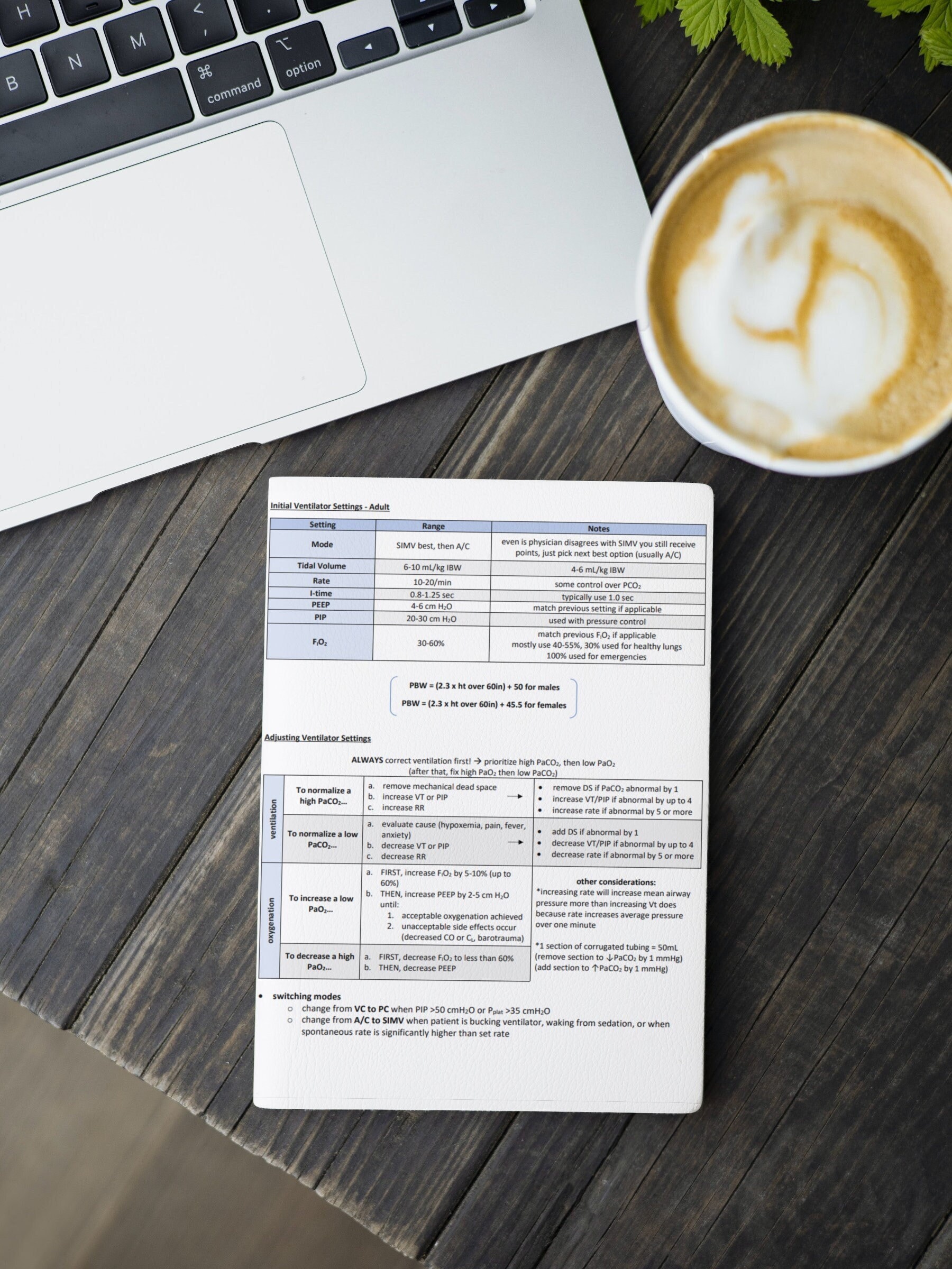 Clinical Simulations Review - CSE Exam Prep - PDF Study Guide