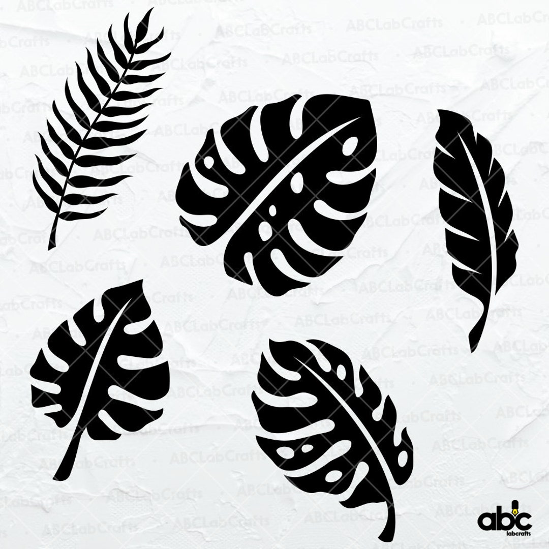 Monstera Leaves Svg Bundle | Tropical Leaves Svg | Monstera Clipart ...