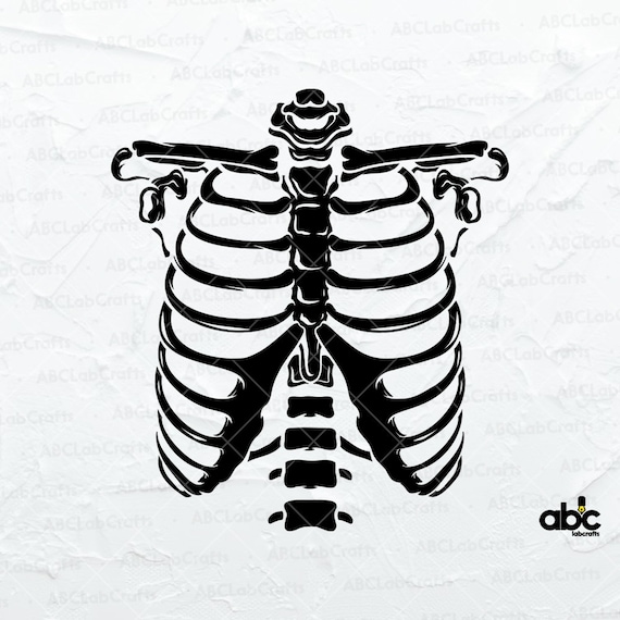 Skeleton Rib Cage Svg File Skeleton Bones Svg Skeleton Etsy Hong Kong