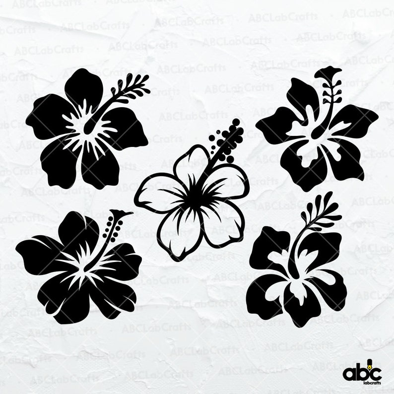 Hibiscus Svg Bundle | Hawaii Flowers Svg | Tropical Flowers Png ...