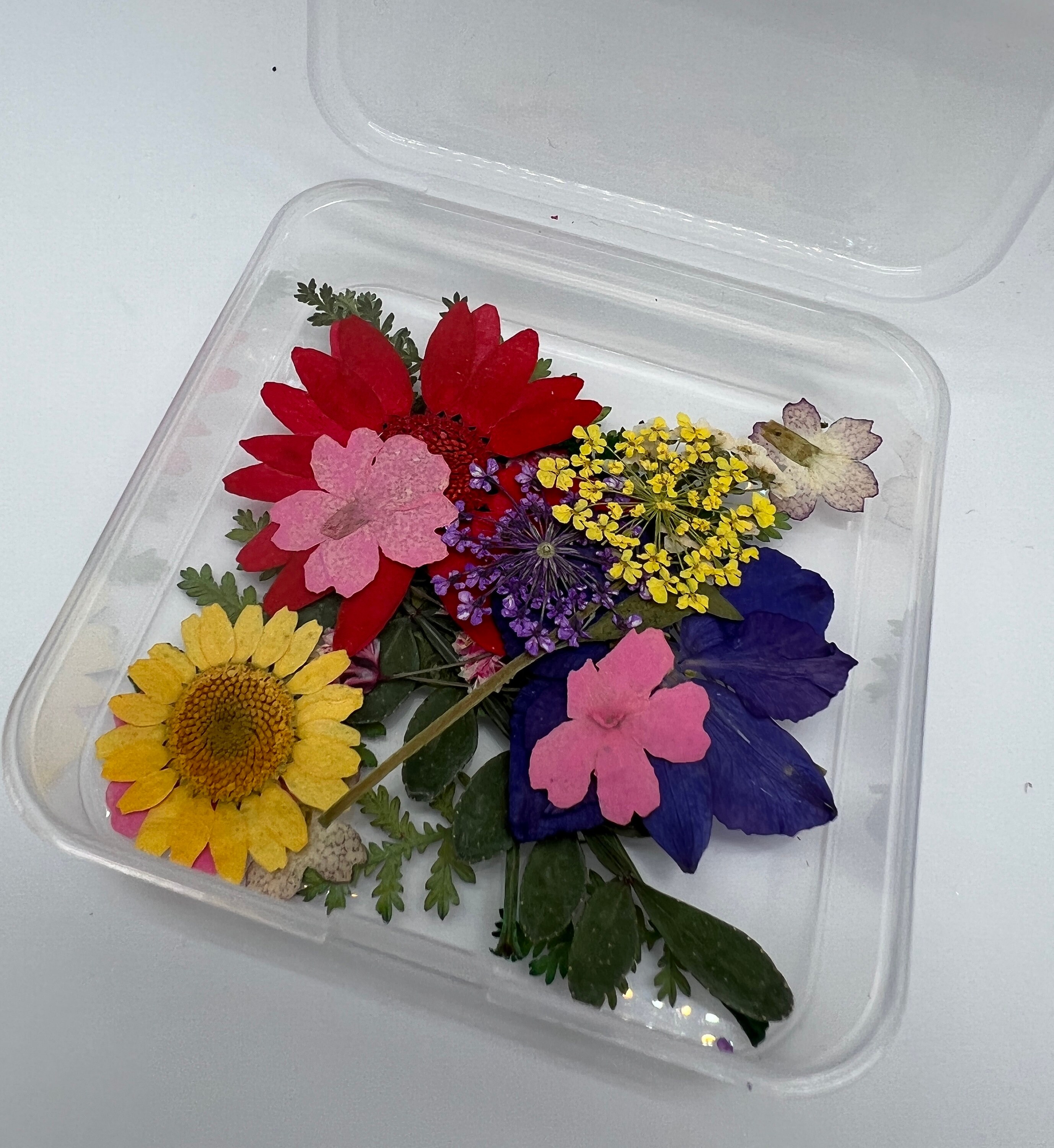 Resin Pressed Flower Tray/dish Craft Kit Gift DIY free Etsy