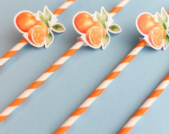 Pajitas para bebidas con diseños adorables / baby shower, revelación de género, decoración para baby shower, baby shower naranja, decoración naranja, un pequeño tesoro está en camino